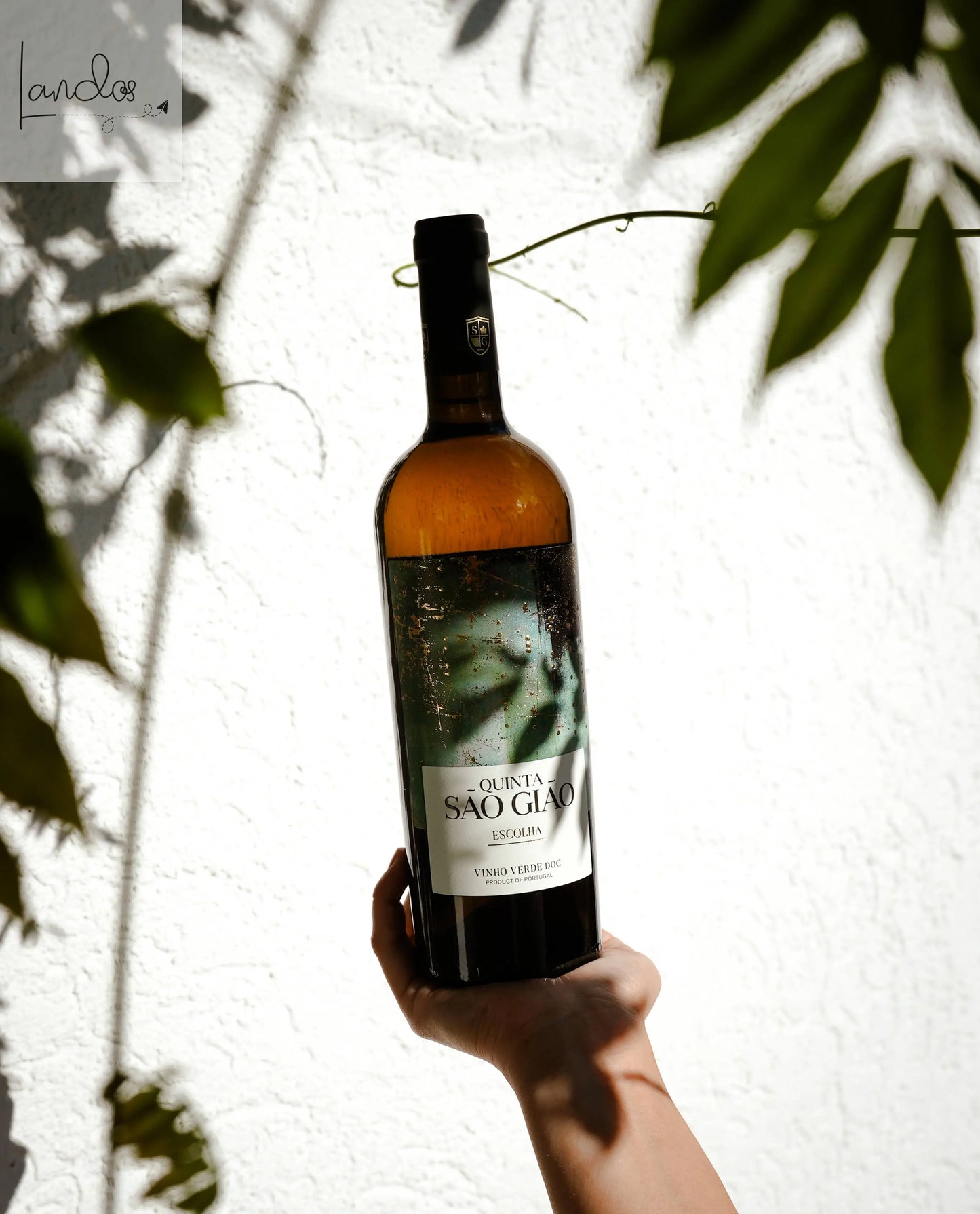 Quinta Sao Giao Vinho Verde Escolha | Weißwein Machado GmbH
