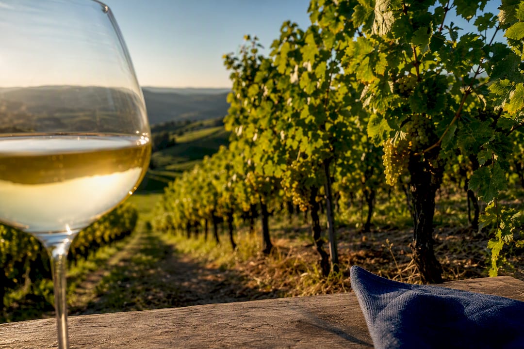 Ein anonymes Glas Grauburgunder vor einem badischen Weinberg