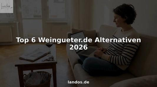 Eine Frau stöbert gemütlich von zu Hause aus durch verschiedene Weinauswahlen im Internet.