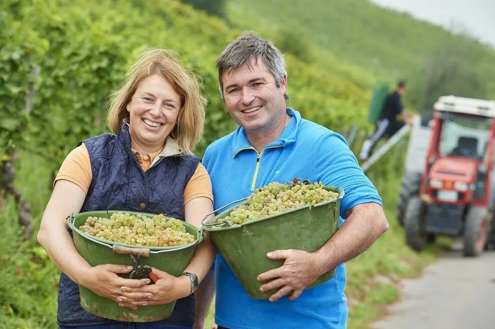 Weingut-Keller Lando's