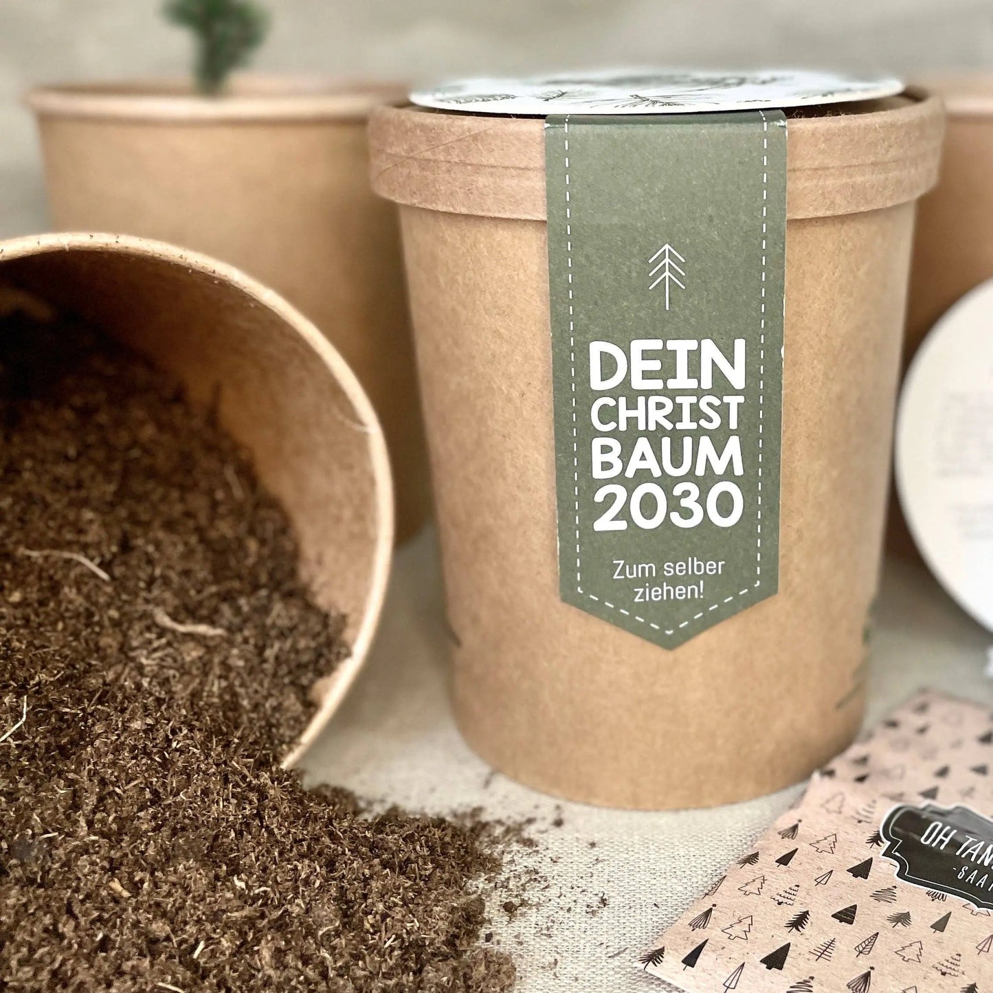 Dein Weihnachtsbaum 2030 - pflanz deinen eigenen Weihnachtsbaum Wunderle GmbH