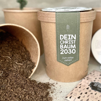 Dein Weihnachtsbaum 2030 - pflanz deinen eigenen Weihnachtsbaum Wunderle GmbH