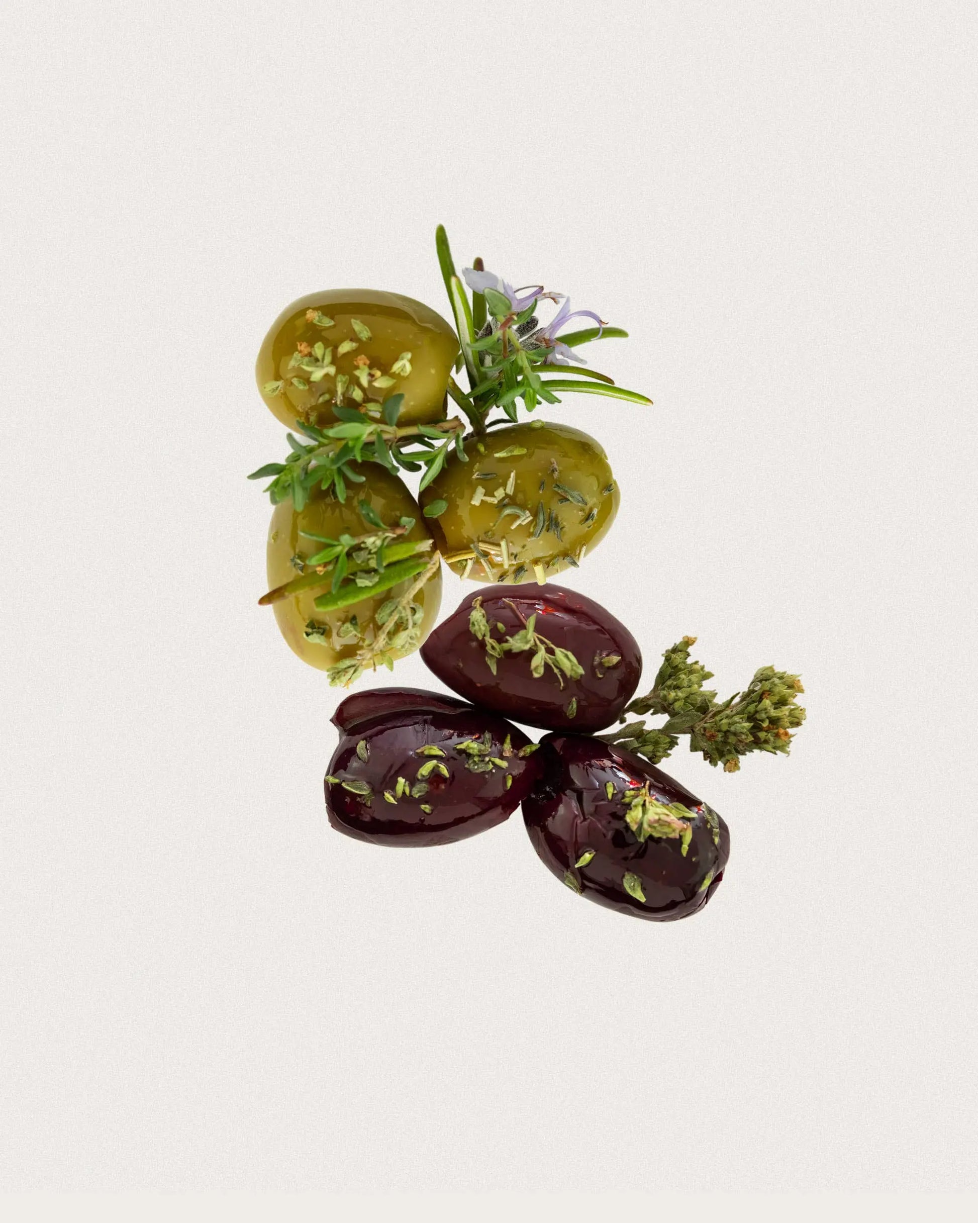 OELiven Mix-Variation 170 g - Gemischte Bio Oliven mit Kräutern O.E.L. - Thalassa GmbH & Co. KG