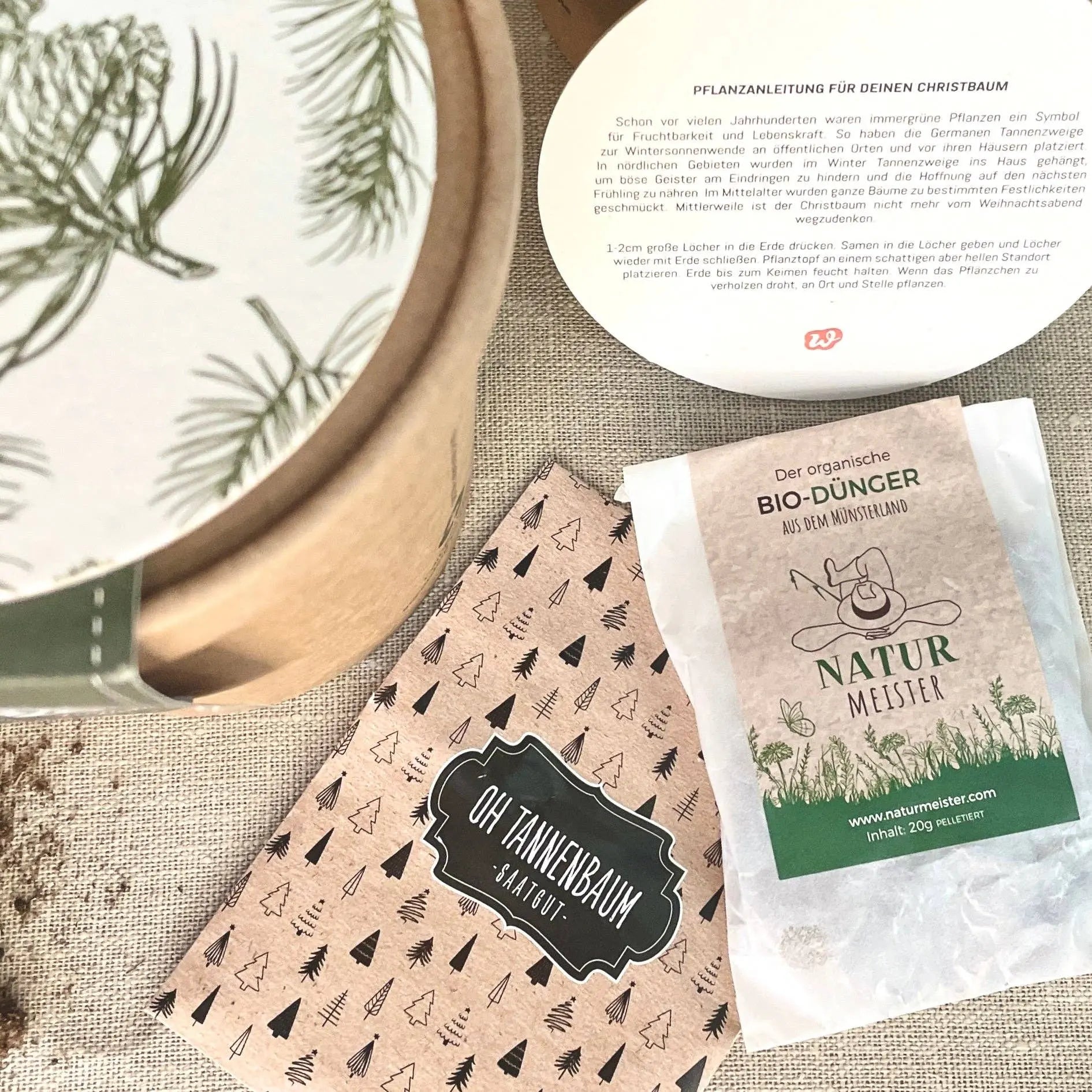 Dein Weihnachtsbaum 2030 - pflanz deinen eigenen Weihnachtsbaum Wunderle GmbH