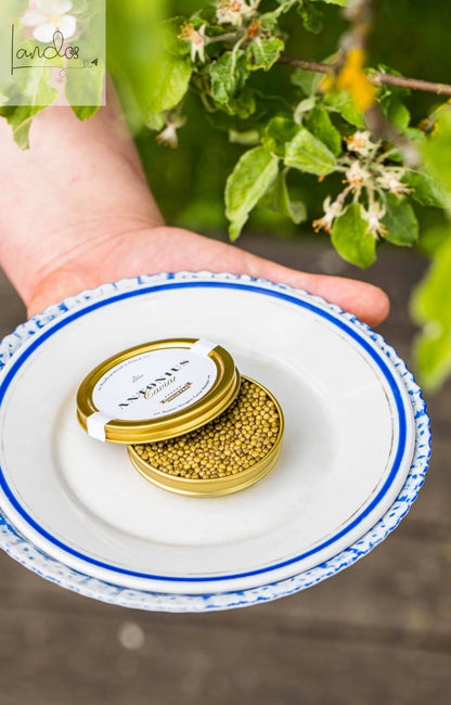 Antonius Caviar: 5-Sterne Osetra Kaviar, 30 g Antonius Caviar