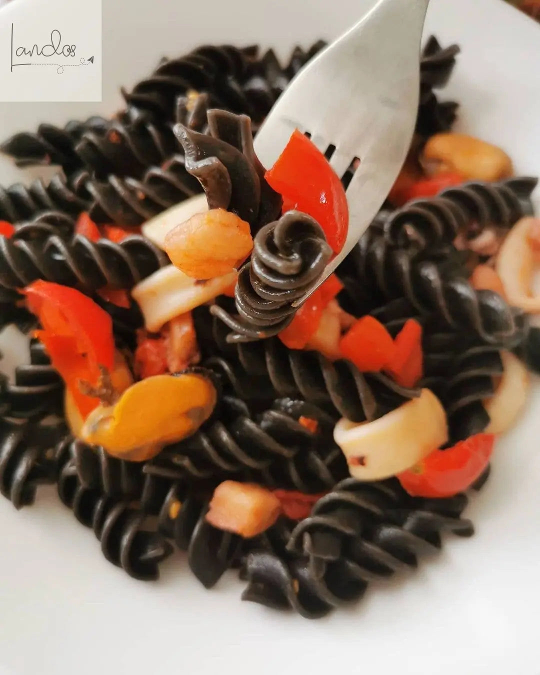 Italienische handgemachte Fusilli-Nudeln mit Sepia-Tinte g.500 Antico Pastificio Morelli 1860