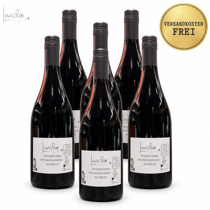 Lando’s Burkheimer Spätburgunder Rotwein – 6er-Kiste, versandkostenfrei