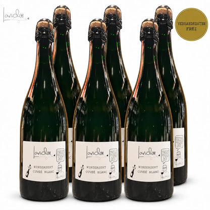 Lando’s Winzersekt Cuvée Blanc – 6er-Kiste, versandkostenfrei